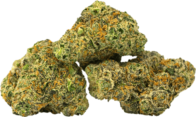 Coconut Cream Pie image 1